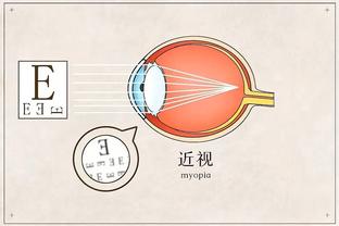 CBA常规赛第11轮最佳阵容：弗格&张帆领衔 杨瀚森最佳新秀